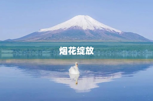 烟花绽放,心情欢畅 烟花绽放,心情欢畅