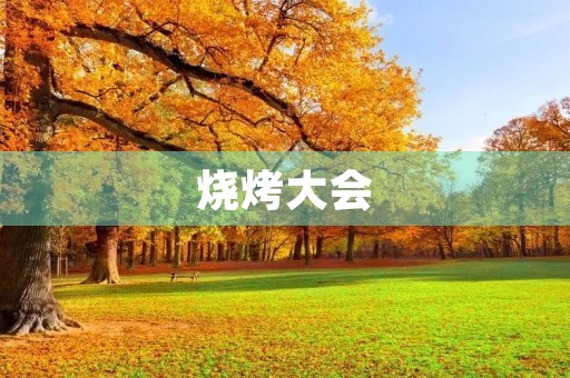 烧烤大会