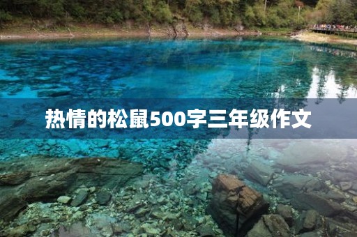 热情的松鼠500字三年级作文