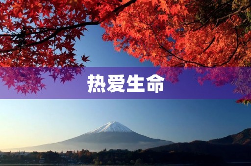 热爱生命，享受每一天