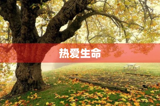 热爱生命，珍惜每一天
