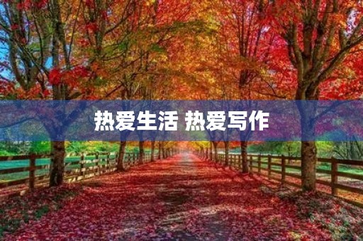 热爱生活 热爱写作