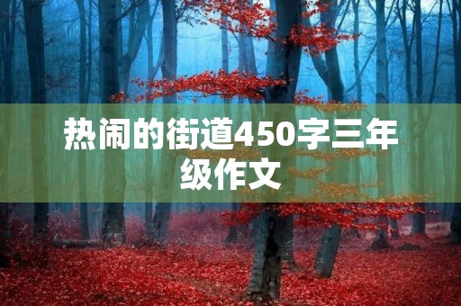 热闹的街道450字三年级作文