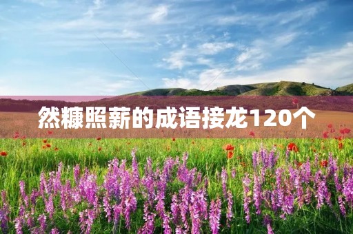然糠照薪的成语接龙120个 然糠照薪的成语接龙120个