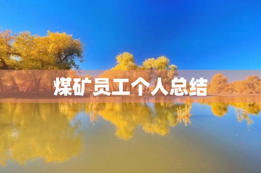 煤矿员工个人总结