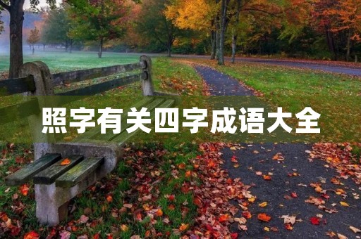 照字有关四字成语大全 照字有关四字成语大全
