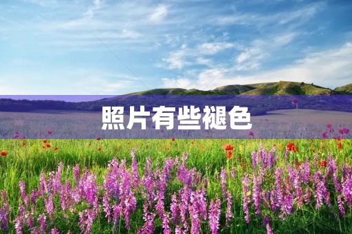 照片有些褪色