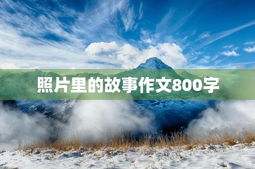 照片里的故事作文800字 照片里的故事作文800字