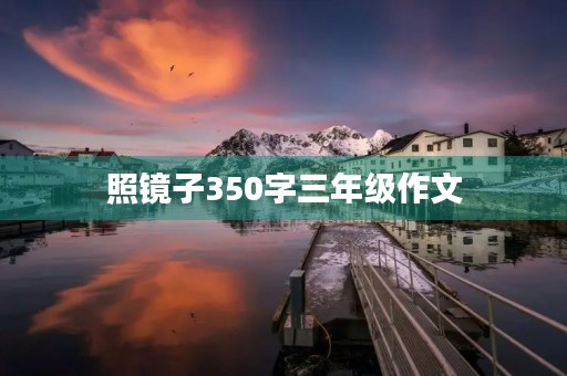 照镜子350字三年级作文