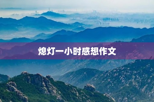 熄灯一小时感想作文
