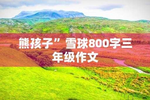 熊孩子”雪球800字三年级作文 熊孩子”雪球800字三年级作文