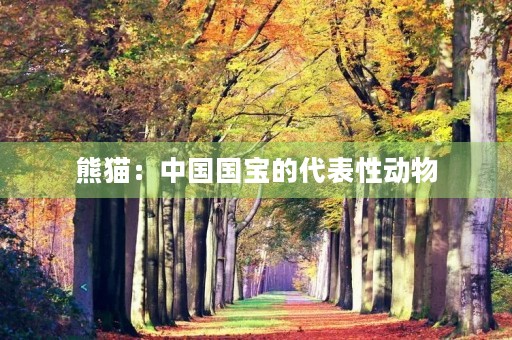 熊猫：中国国宝的代表性动物