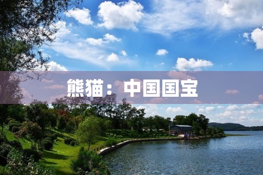 熊猫：中国国宝