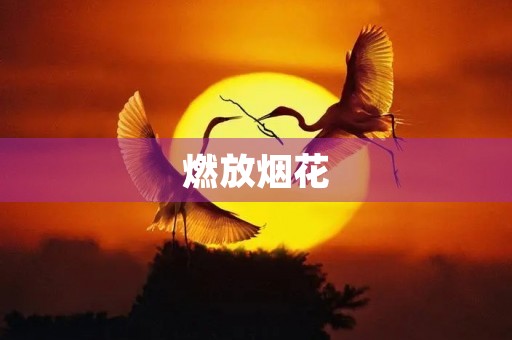 燃放烟花，珍惜生命