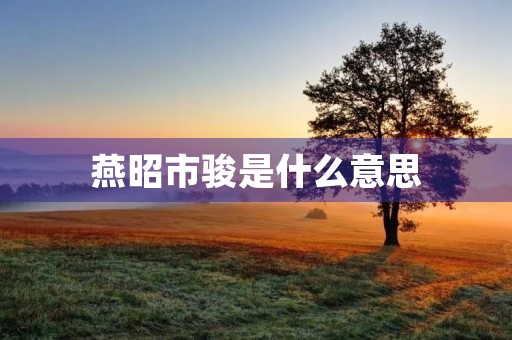 燕昭市骏是什么意思