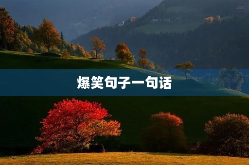 爆笑句子一句话，爆笑句子一句话大全