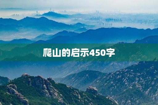 爬山的启示450字