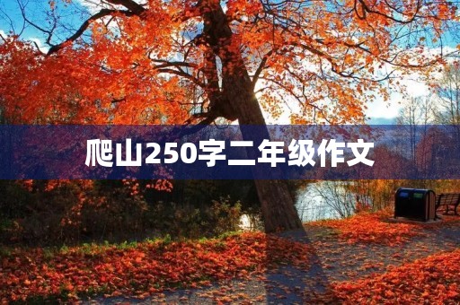 爬山250字二年级作文