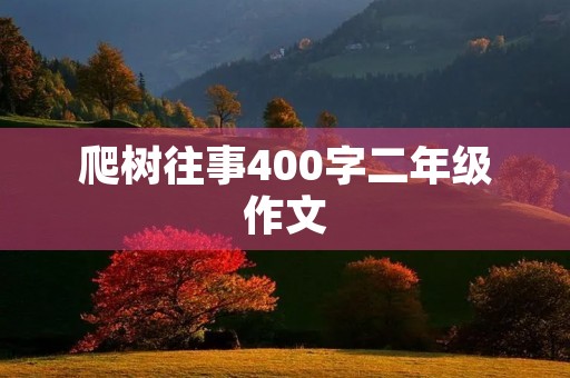 爬树往事400字二年级作文