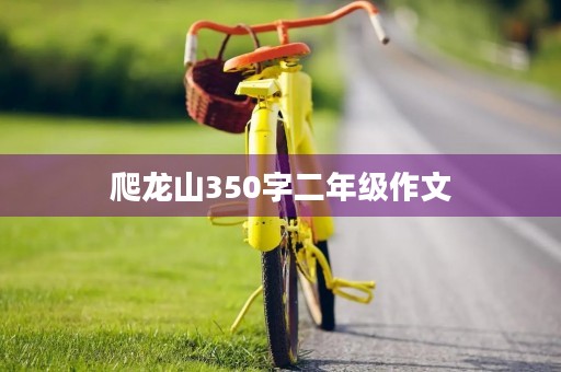 爬龙山350字二年级作文