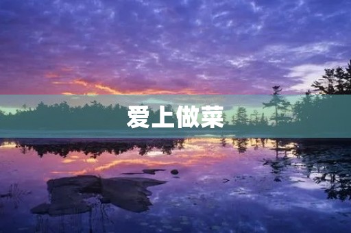 爱上做菜