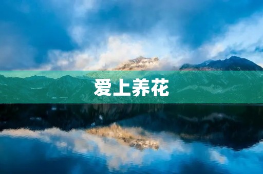 爱上养花