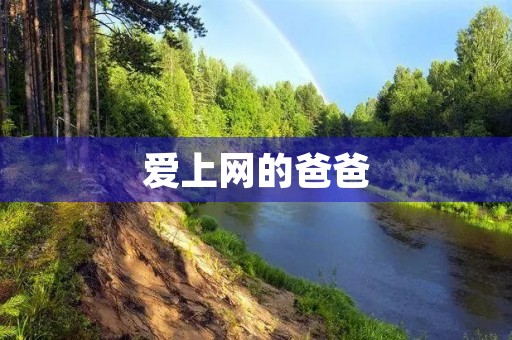 爱上网的爸爸