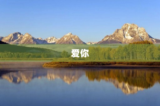 爱你，不止三言两语