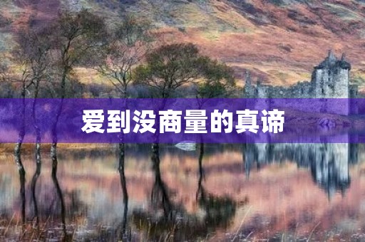 爱到没商量的真谛 爱到没商量的真谛