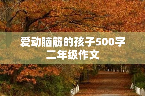 爱动脑筋的孩子500字二年级作文