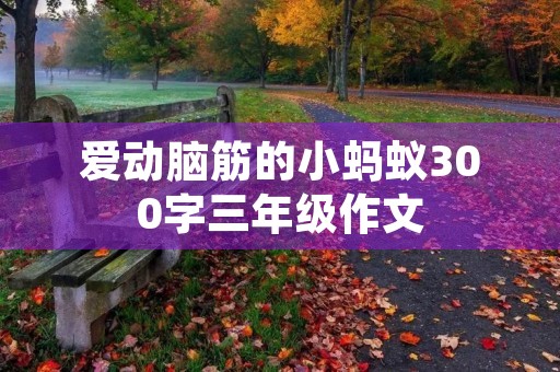 爱动脑筋的小蚂蚁300字三年级作文 爱动脑筋的小蚂蚁300字三年级作文