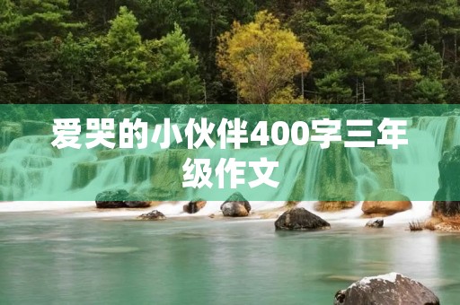 爱哭的小伙伴400字三年级作文 爱哭的小伙伴400字三年级作文