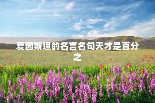 爱因斯坦的名言名句天才是百分之(爱因斯坦说天才的原句)