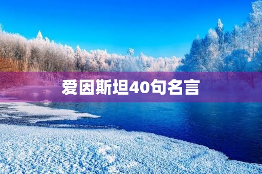 爱因斯坦40句名言(爱因斯坦40句名言比知识更重要)