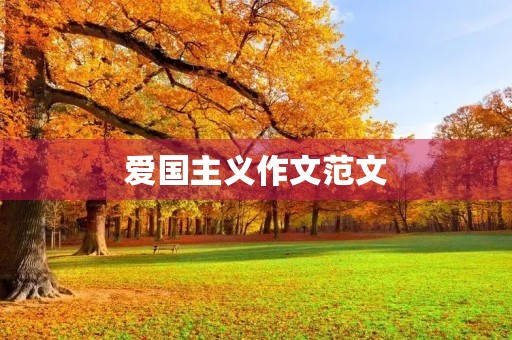 爱国主义作文范文 爱国主义作文范文