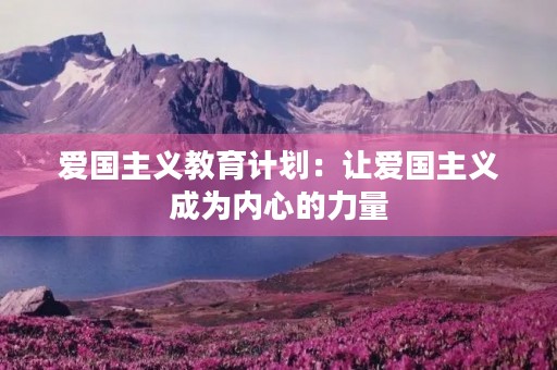 爱国主义教育计划：让爱国主义成为内心的力量