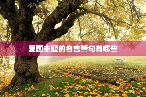 爱国主题的名言警句有哪些(中华名言警句精粹在线阅读) 爱国主题的名言警句有哪些(中华名言警句精粹在线阅读)