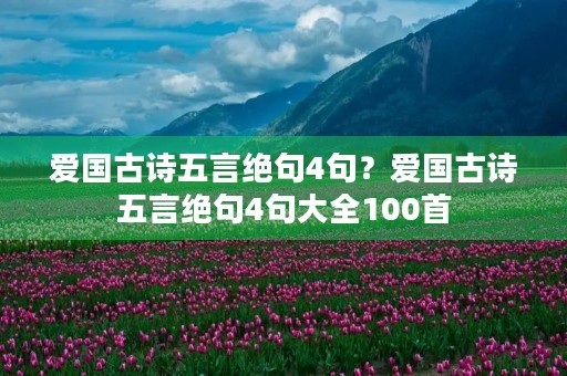 爱国古诗五言绝句4句？爱国古诗五言绝句4句大全100首