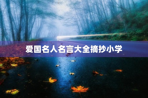 爱国名人名言大全摘抄小学,爱国名人名言大全摘抄小学三年级 爱国名人名言大全摘抄小学,爱国名人名言大全摘抄小学三年级