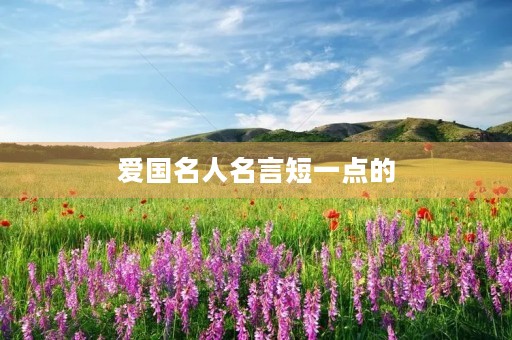 爱国名人名言短一点的(爰国名人名言短的)