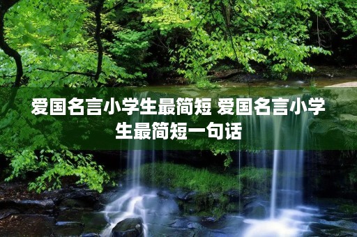 爱国名言小学生最简短 爱国名言小学生最简短一句话