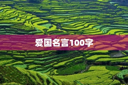 爱国名言100字(爱国名言100字左右)