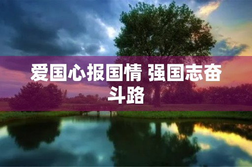 爱国心报国情 强国志奋斗路 爱国心报国情 强国志奋斗路