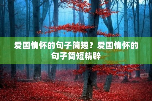 爱国情怀的句子简短?爱国情怀的句子简短精辟 爱国情怀的句子简短?爱国情怀的句子简短精辟