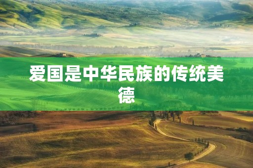 爱国是中华民族的传统美德