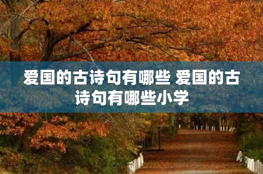 爱国的古诗句有哪些 爱国的古诗句有哪些小学