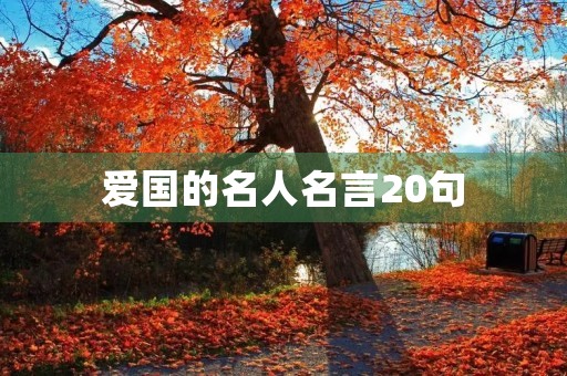 爱国的名人名言20句(爱国的名人名言20句摘抄)