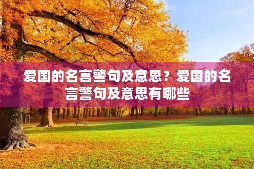 爱国的名言警句及意思？爱国的名言警句及意思有哪些