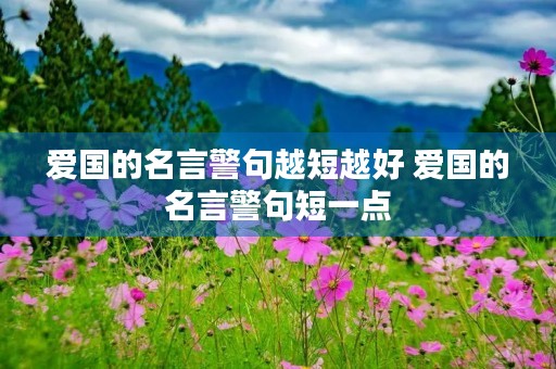 爱国的名言警句越短越好 爱国的名言警句短一点 爱国的名言警句越短越好 爱国的名言警句短一点