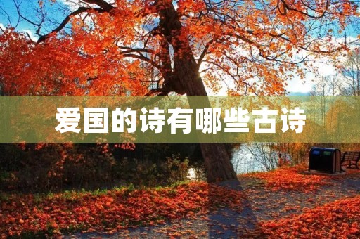 爱国的诗有哪些古诗(爱国的诗有哪些古诗四句) 爱国的诗有哪些古诗(爱国的诗有哪些古诗四句)